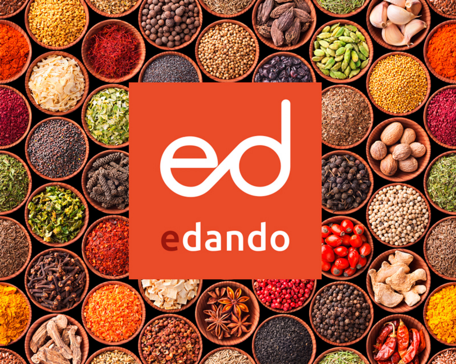 Diseño e ilustración de la imagen corporativa Agencia de diseño y publicidad Las Palmas