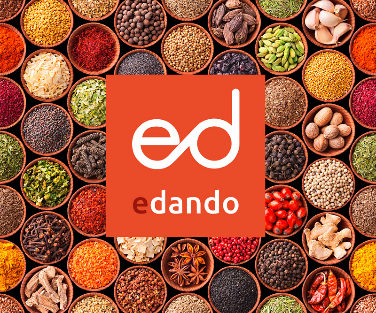 Diseño e ilustración de la imagen corporativa Agencia de diseño y publicidad Las Palmas