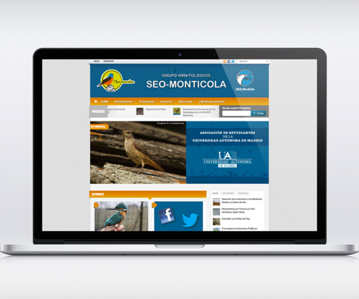 Web Seo Monticola Diseño web y usabilidad de la web